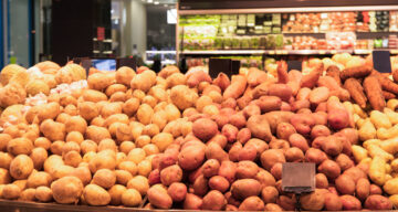 Potatoes Traders in Dubai UAE