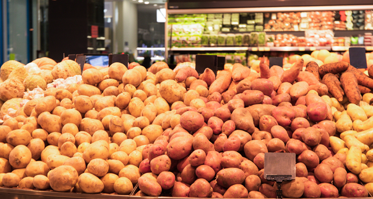 Potatoes Traders in Dubai UAE