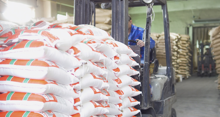 Rice Traders in Dubai UAE