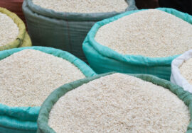 Affordable Bulk Rice Supplier UAE Quality Rice at Competitive Wholesale Prices