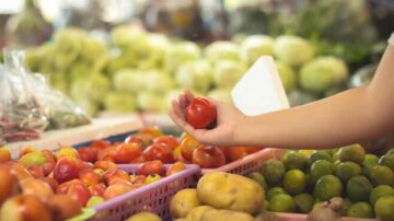 Fruits and Vegetables Importer in Dubai, UAE